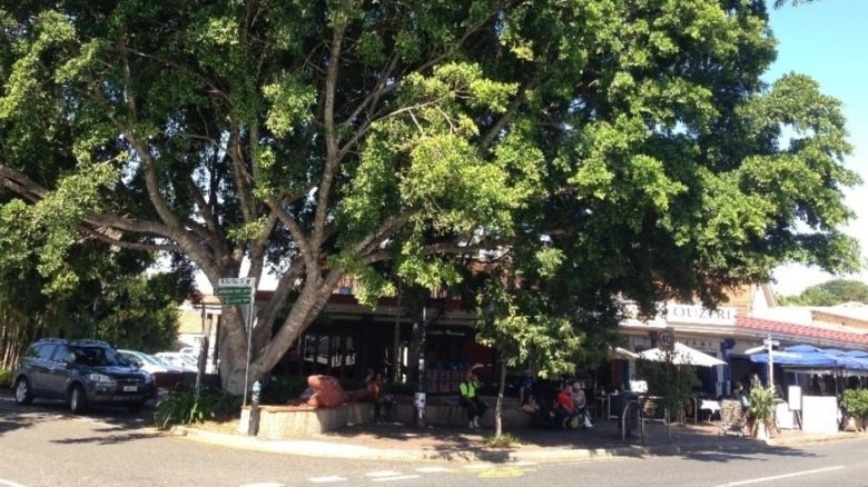 Brisbane's West End main street: the large tree was planted in the middle of the road in 1995 through a community design project and now creates its own microclimate. We need to plant hundreds of big trees.