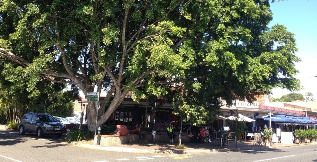 Brisbane's West End main street: the large tree was planted in the middle of the road in 1995 through a community design project and now creates its own microclimate. We need to plant hundreds of big trees.