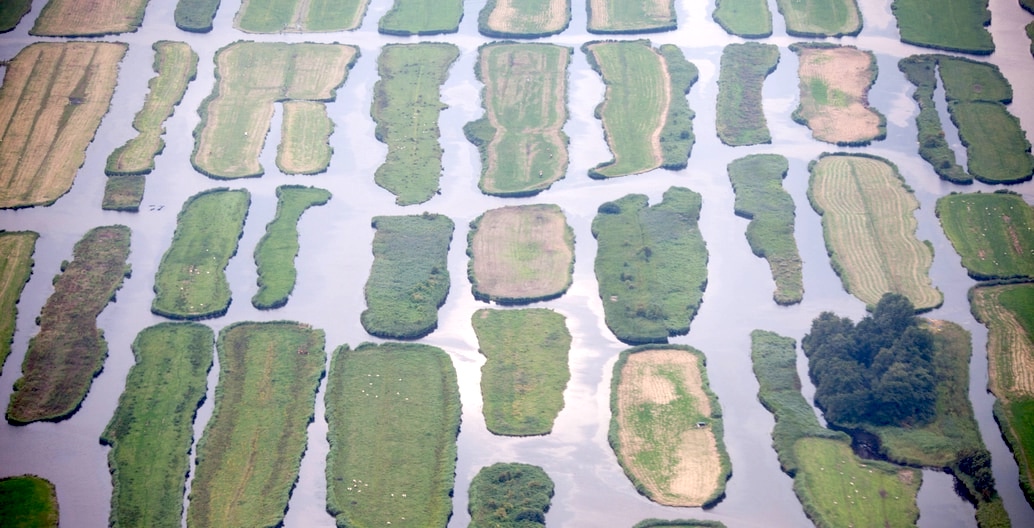 The fragility and resilience of the land-creating polders of the Netherlands, home to landscape architect Dirk Sijmons.