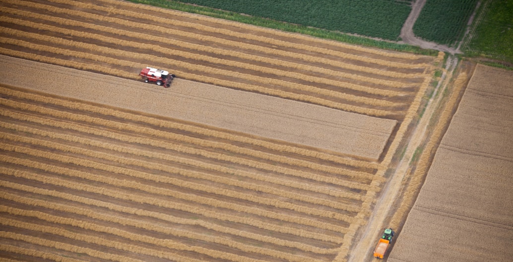 "Now that agriculture has become more and more viral, the biodiversity in our cities is higher than agricultural landscapes!" – Sijmons