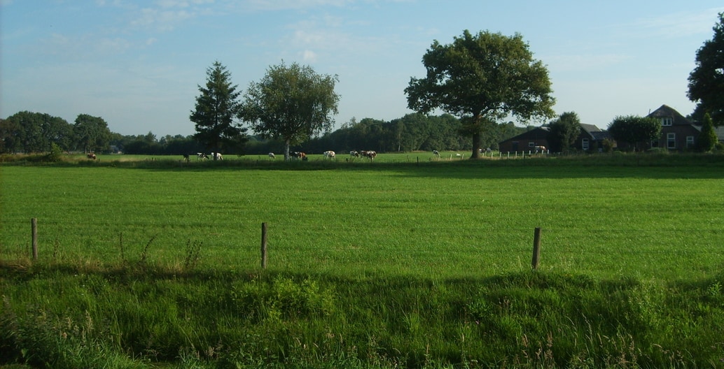 "So the natural expression of agriculture in the early days was extremely nice with meadow birds and rich biodiversity." – Dirk Sijmons