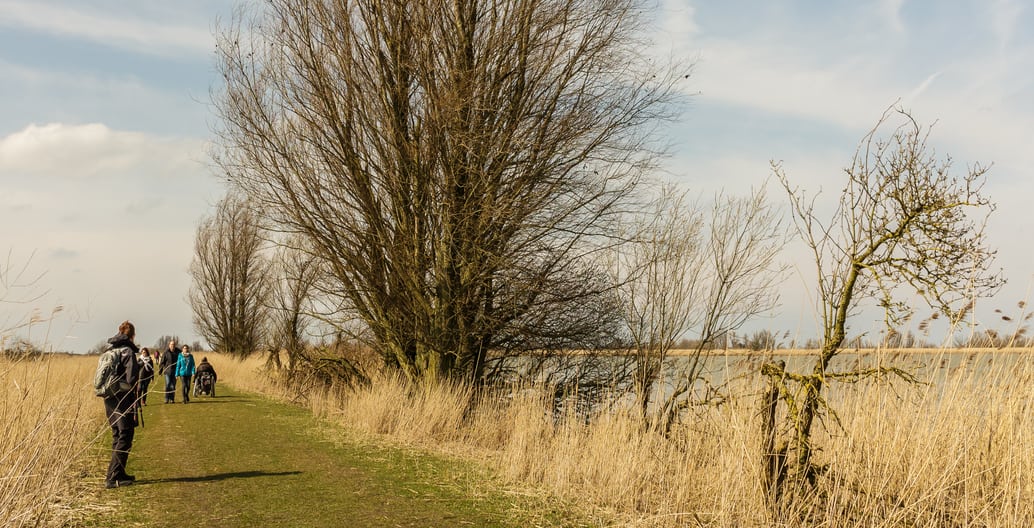 The rewilded Oostvaardersplassen is a big tourist attraction in the Netherlands.