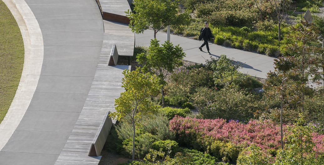 The exemplary campus design of Taylor Cullity Lethlean's Eastern Precinct Landscape received an Award of Excellence in the 2019 AILA Victoria Awards. Photo: Will Salter