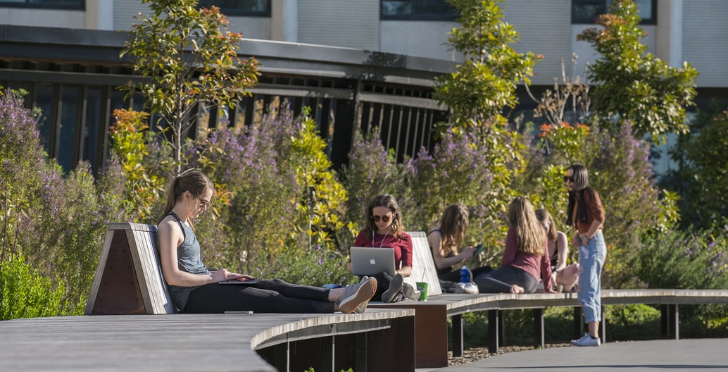 Campus designs for Monash University at Clayton have been required to explore the possibilities of native species. The Eastern Precinct Landscape by TCL does this wonderfully.