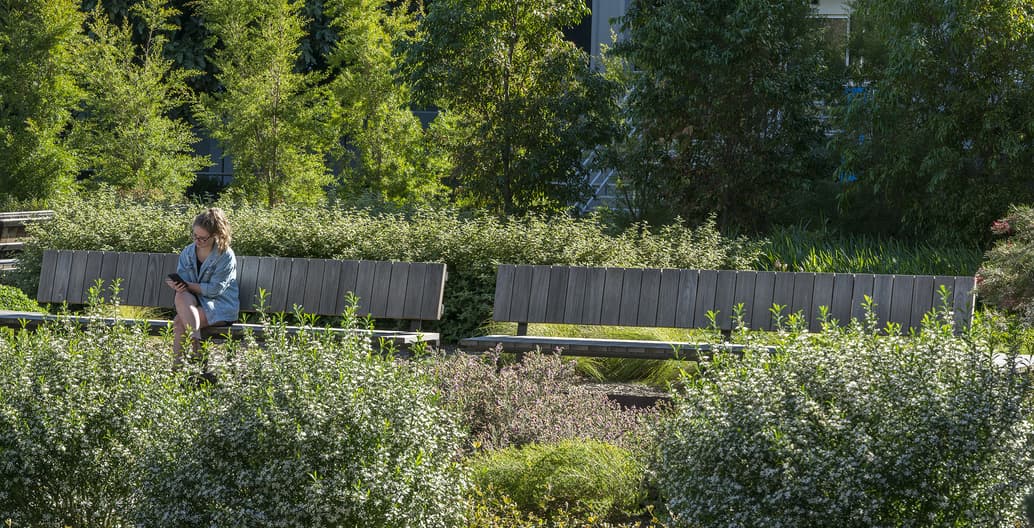 The jury complemented the rich native planting of the Eastern Precinct Landscape at Monash University by TCL. Photo: Will Salter