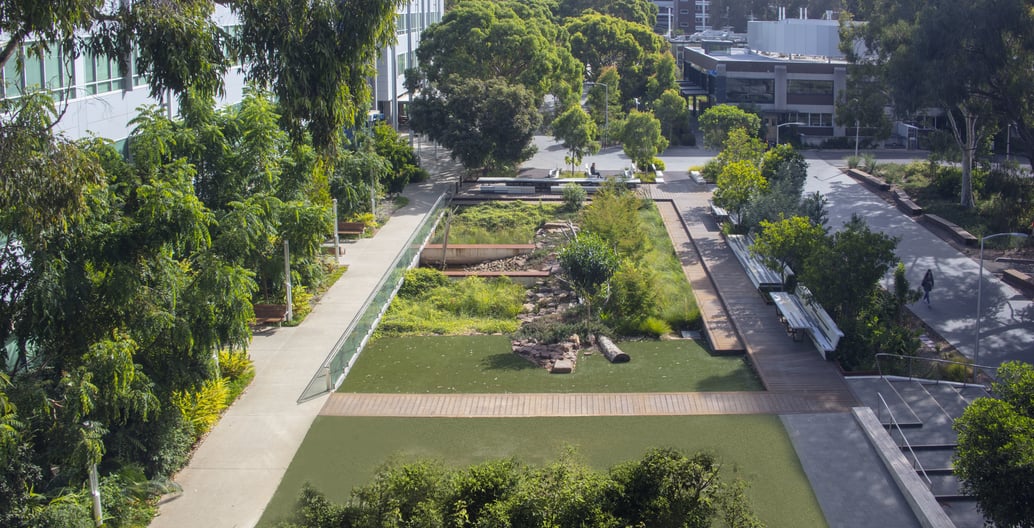 RWA's Western Precinct Landscape considered water use and education as a focus of one stage of the design. Photo: John Gollings