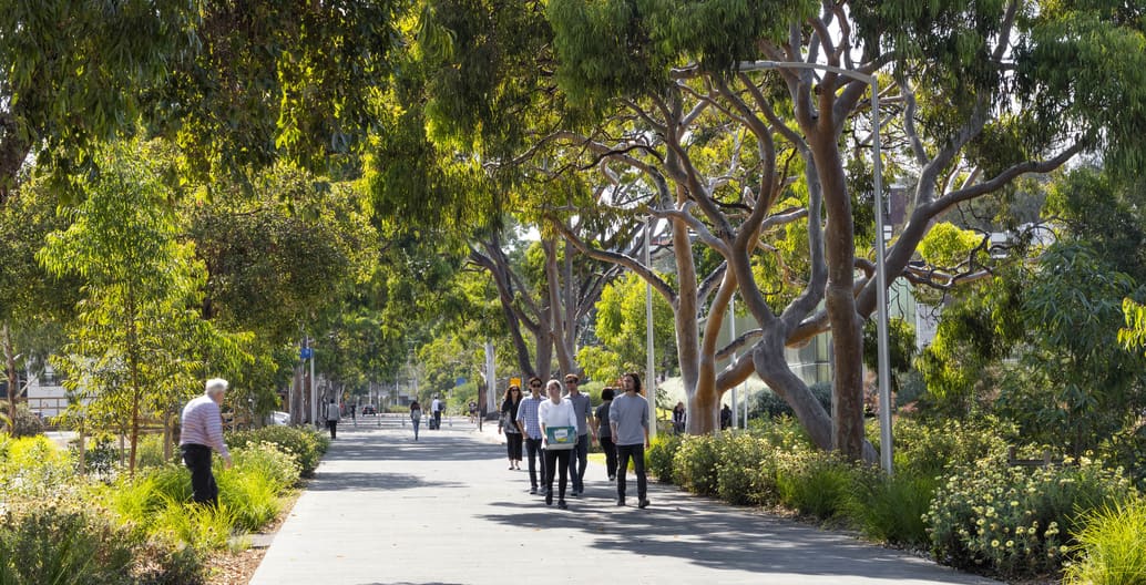RWA's Western Precinct Landscape received an Urban Design award. Photo: John Gollings