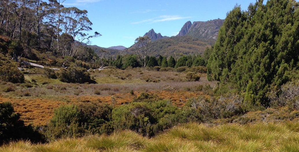 As nature-based tourism in Tasmania grows there is a need to sensitive, well-researched site documentation and impact advice such as the Dove Lake reports of Inspiring Place. Photo: Inspiring Place