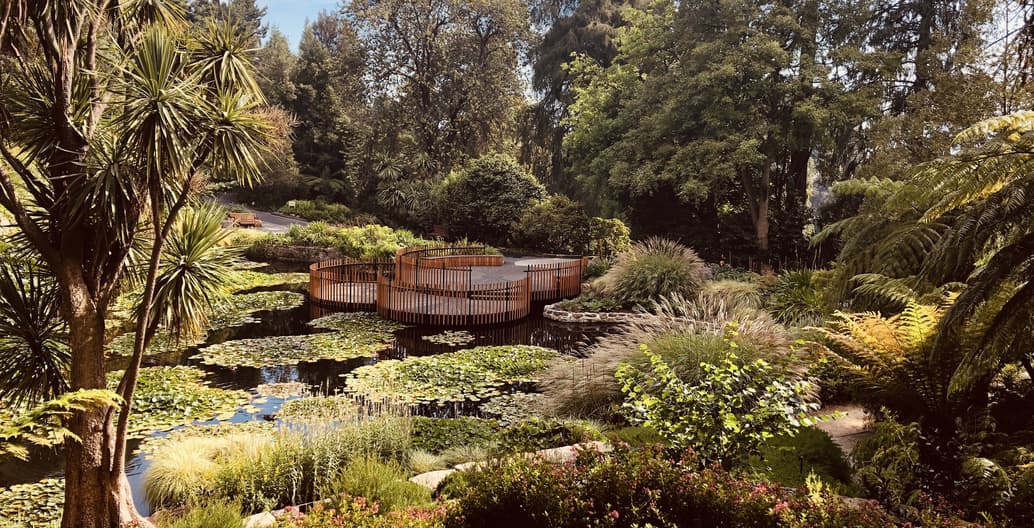 An urban nature tourist attraction, The Lily Pads at the Royal Tasmanian Botanical Gardens, Hobart, received an AILA Tasmania award of Excellence. Photo: Justy Philips