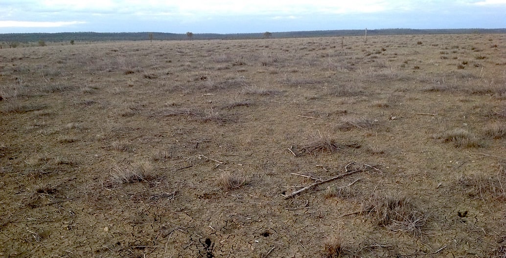 Drought is now a regular feature of once-reliable farming areas in changed climate. Queensland 2014. Photo: Btcpg