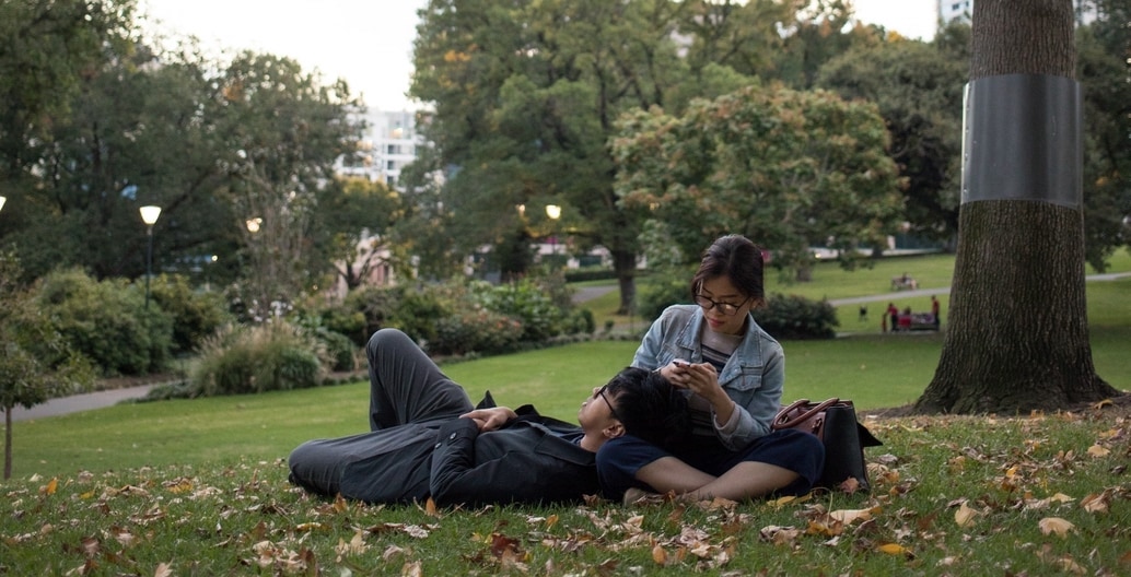 Visitors enjoy the grass while valuable trees in central Melbourne's Flagstaff Gardens are protected from a large nocturnal possum population. Photo: Adam O'Sullivan