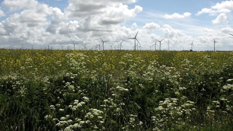 Regenerative farming can take time to transition. Wind farms provide ongoing passive income security. Photo: Matthias Süßen