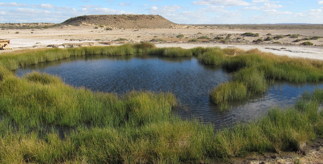 Under threat from climate change, the Bubbler is a natural spring and important cultural site for the Arabana people of the Kathi Thanda region. Photo: Melissa Nursey-Bray