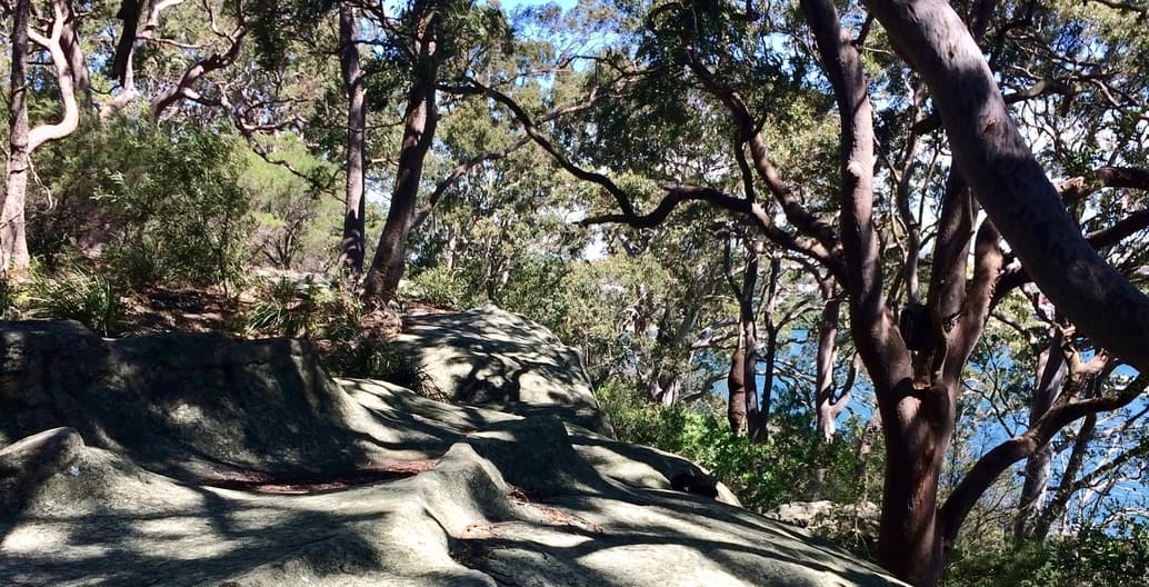 A track around Berry Island in Sydney Harbour. Berry Island Reserve is one of 10 cultural landscapes nominated for heritage listing in the study. Photo: provided