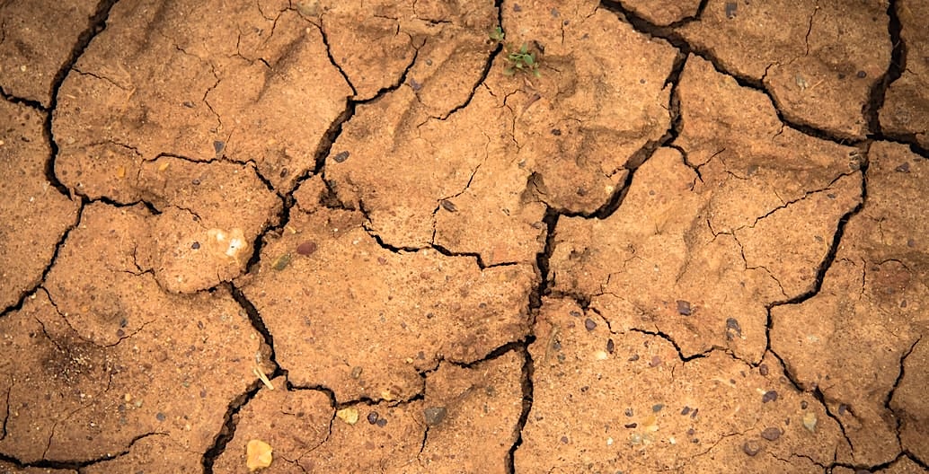 The Murray-Darling Basin, Australia's food bowl, had yet another poor season, with less than half its typical rain. Photo: Holder Link