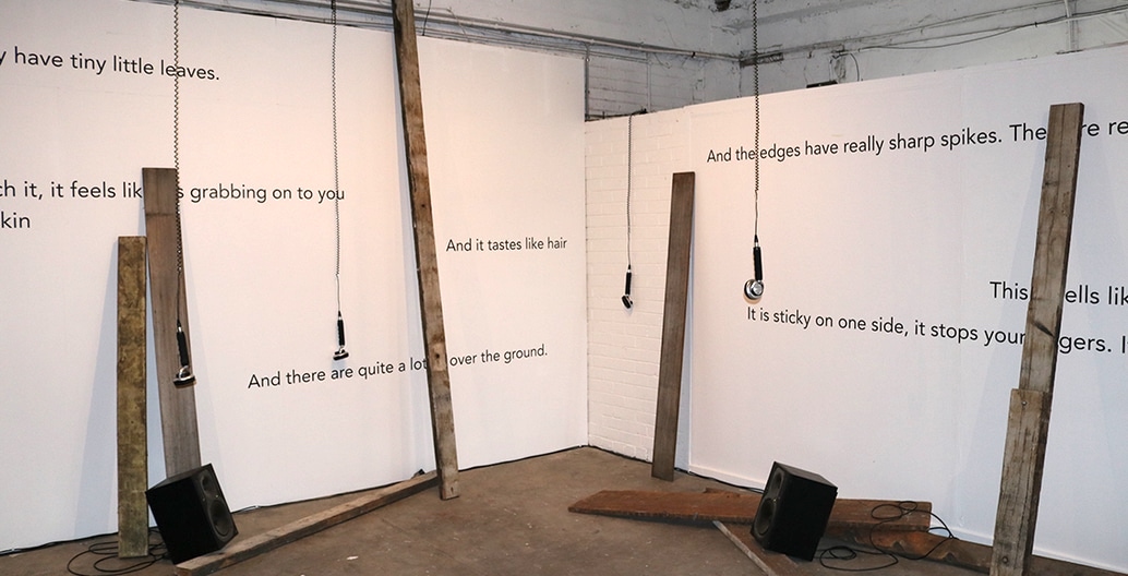 Exhibition. Lisa Hall + Salome Voegelin - And it Tastes Like Hair Photo: Jordan Lacey