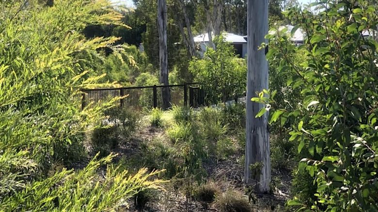 Muller Street residential subdivision by AS Design incorporates detention basins and swales in a 2ha revegetated spine to manage storm water. Photo: Andrae Seredenko