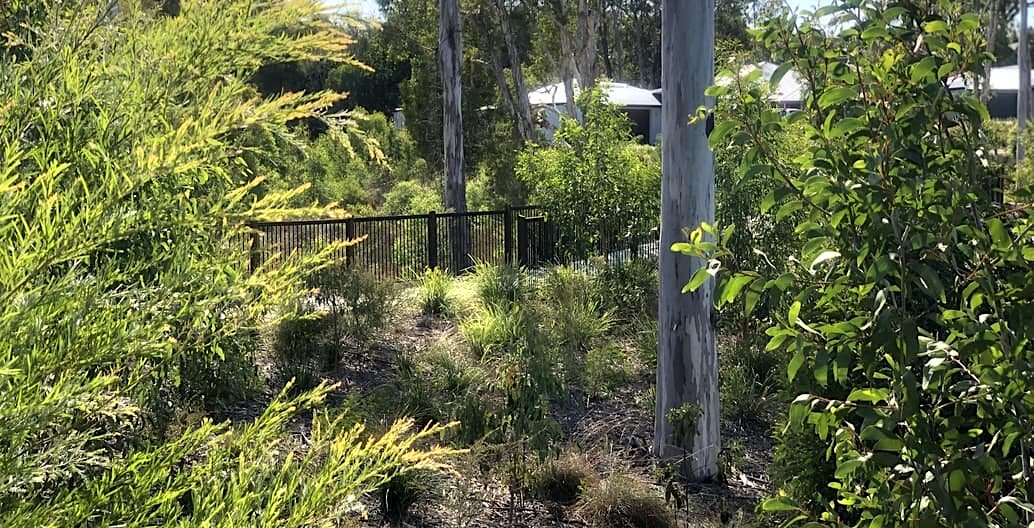 Muller Street residential subdivision by AS Design incorporates detention basins and swales in a 2ha revegetated spine to manage storm water. Photo: Andrae Seredenko