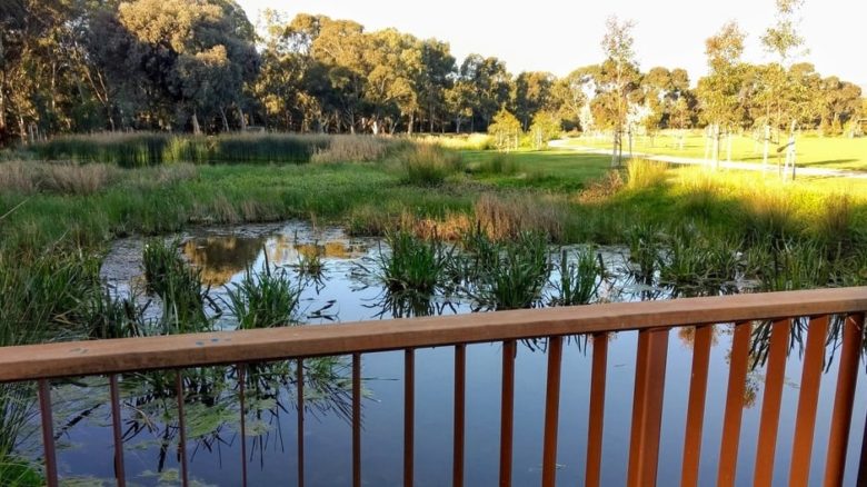 Bridges and stepping stone allow close observation of the Felixstowe wetland ponds and their wildlife. Photo: Jo Russell-Clarke