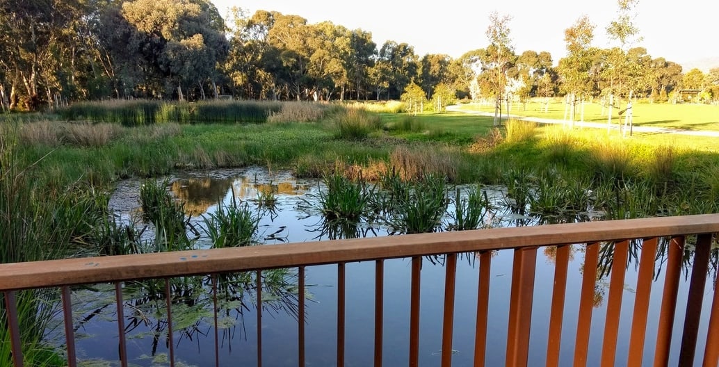 Bridges and stepping stone allow close observation of the Felixstowe wetland ponds and their wildlife. Photo: Jo Russell-Clarke