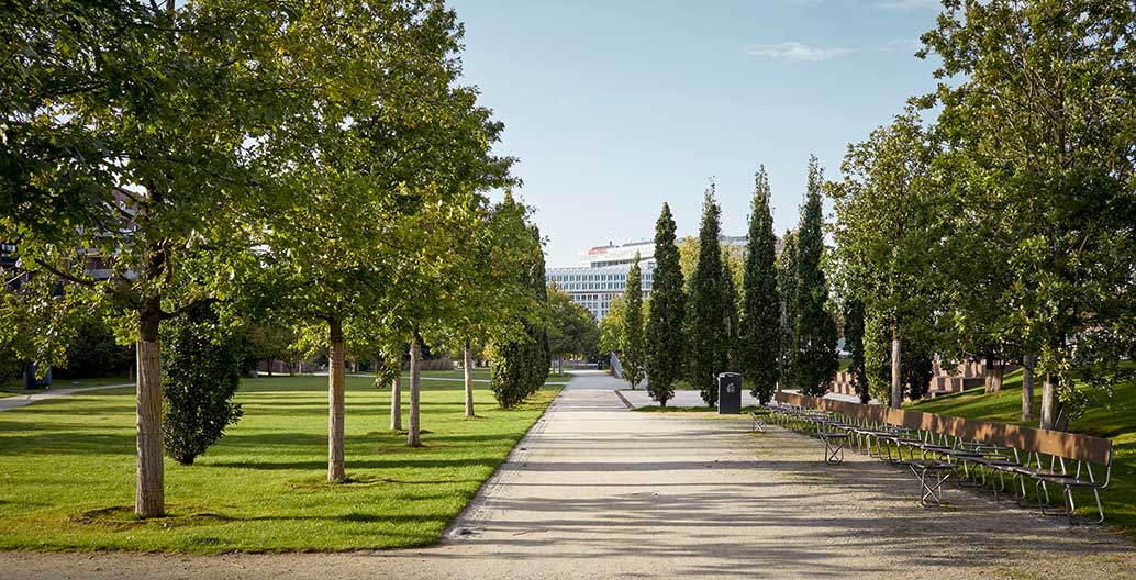 Lohsepark, Hamburg. On both ends the long axis of the open space opens up towards water: the river Elbe and the old harbor canals. Photo: Giuseppe Micciche