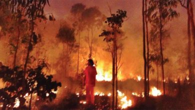 National Indigenous Fire Workshop. Cape York 2014 at Steve Irwin Wildfire Reserve, hosted by Taepithiggi people, Mapoon Land and Sea Rangers.