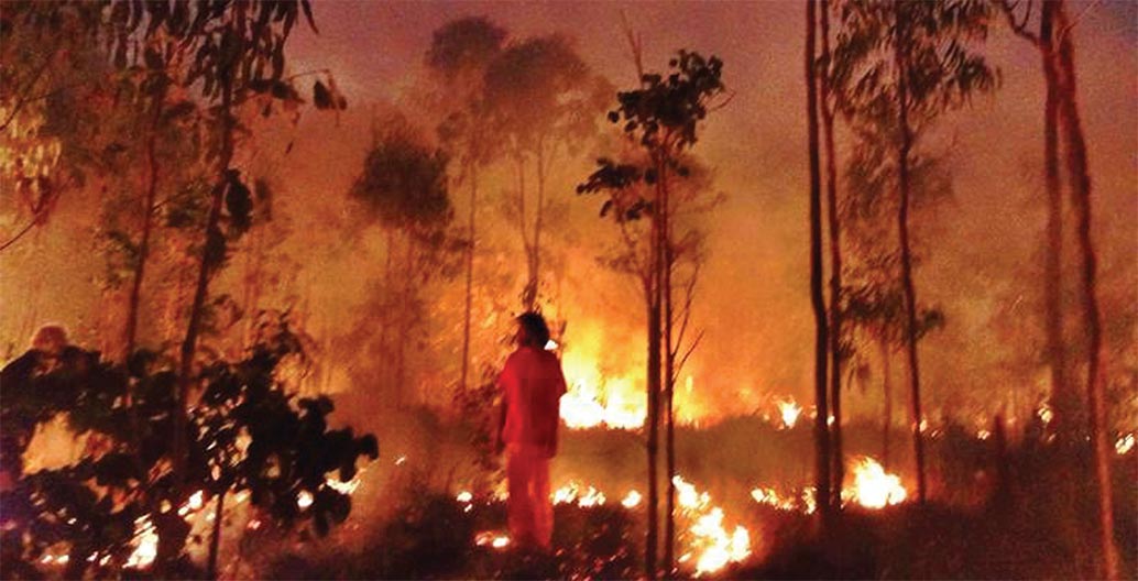 National Indigenous Fire Workshop. Cape York 2014 at Steve Irwin Wildfire Reserve, hosted by Taepithiggi people, Mapoon Land and Sea Rangers.