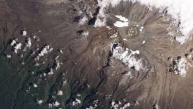 The remnants of Mount Kilimanjaro's fabled fields of snow and ice, as seen from space in 2012. Image: NASA Earth Observatory