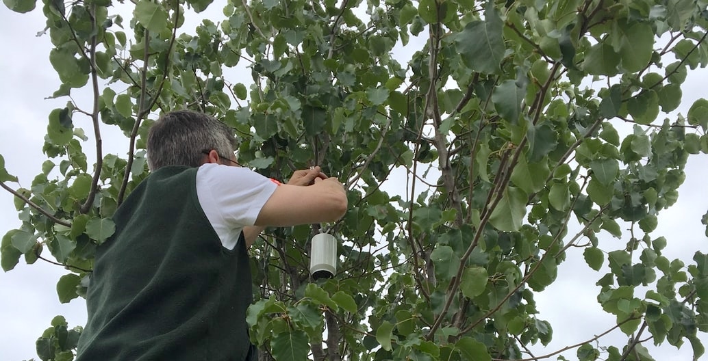 Dr Sebastian Pfautsch conducting field research in urban heat.