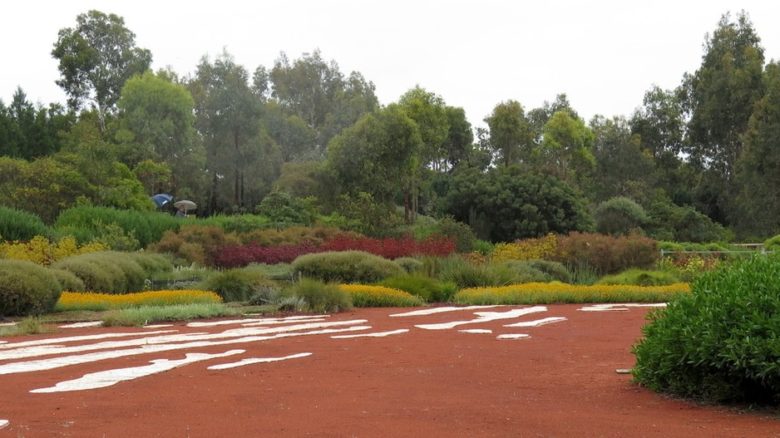 Some of Paul Thompson's rich planting for the Australian Garden at the Cranbourne annex of the Royal Botanic Gardens, Melbourne. With TCL.