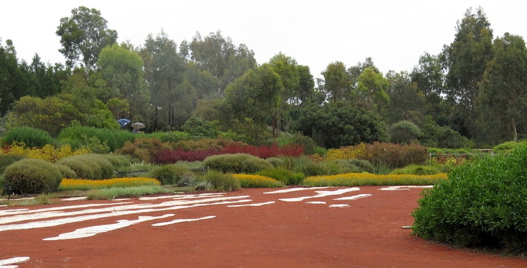 Some of Paul Thompson's rich planting for the Australian Garden at the Cranbourne annex of the Royal Botanic Gardens, Melbourne. With TCL.