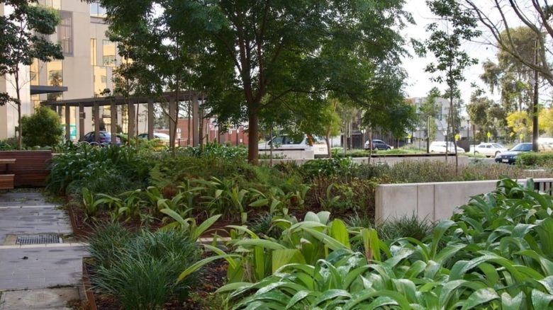 Thompson's lush and careful planting at Bendigo Hospital is designed to controbute to patient wellbeing and recovery. With Oculus Landscape Architects.