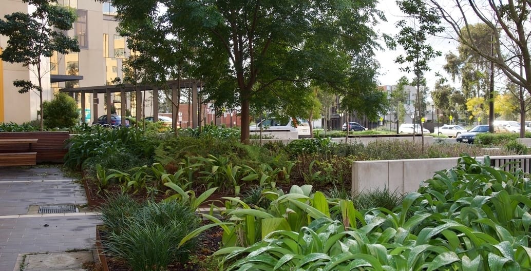 Thompson's lush and careful planting at Bendigo Hospital is designed to controbute to patient wellbeing and recovery. With Oculus Landscape Architects.