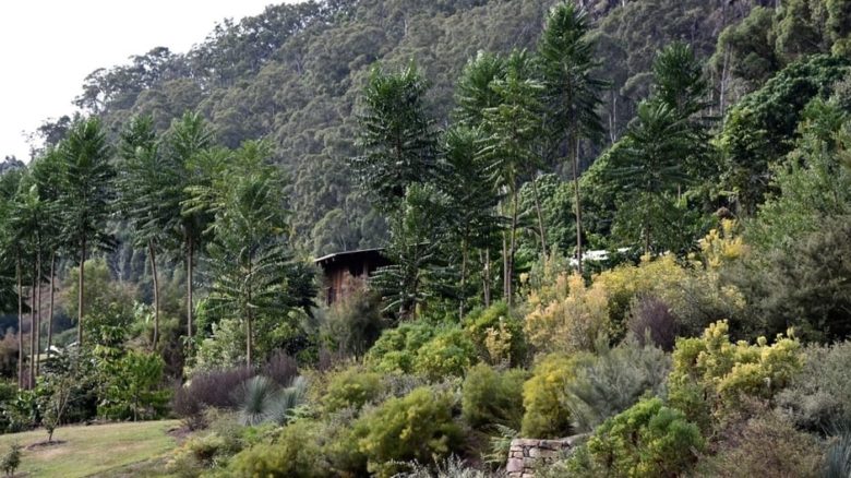 Spatial sequence with layered planting at Mullumbimby Garden in the Northern Rivers region of New South Wales.