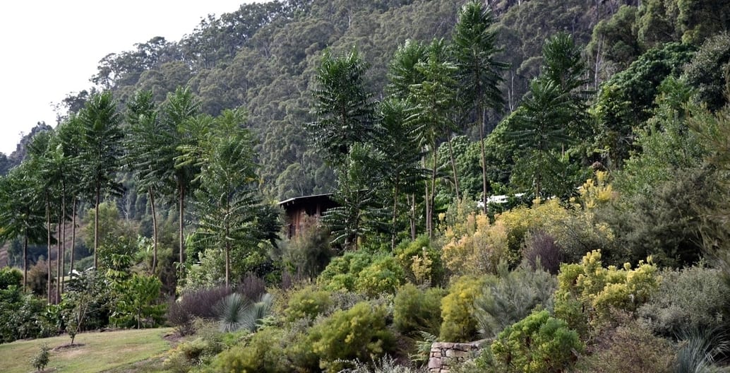 Spatial sequence with layered planting at Mullumbimby Garden in the Northern Rivers region of New South Wales.