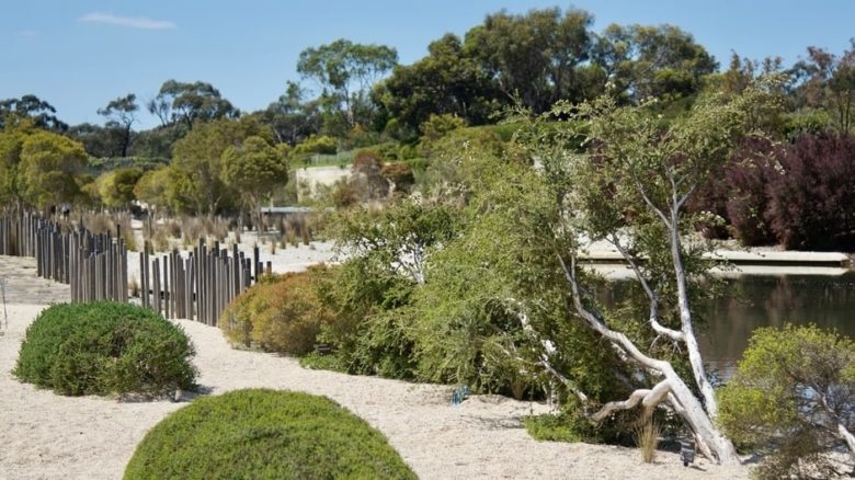 The Seaside Garden at the Royal Botanic Gardens, Cranbourne features newer planting that has been pruned and maintained as instructed by Paul Thompson. With TCL.