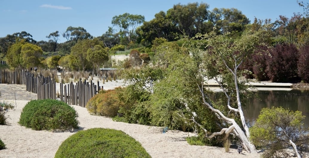 The Seaside Garden at the Royal Botanic Gardens, Cranbourne features newer planting that has been pruned and maintained as instructed by Paul Thompson. With TCL.
