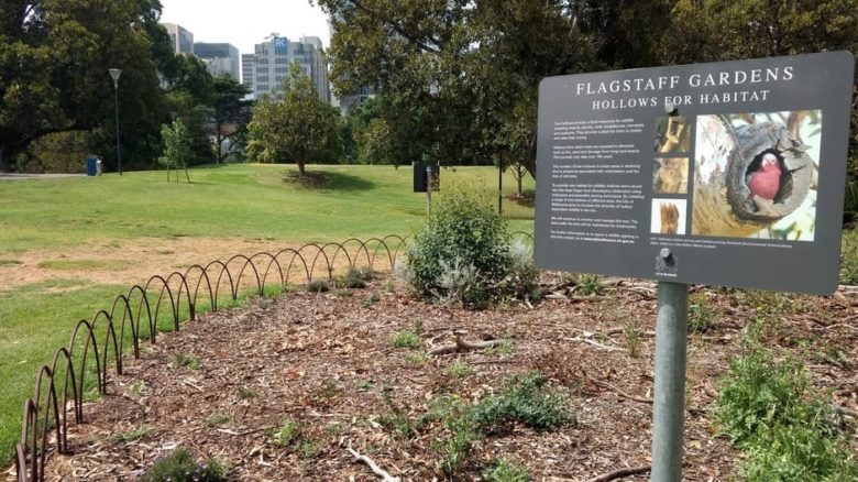 Signage explains the value of retaining this dead tree for habitat in central Melbourne. Photo: Jo Russell-Clarke