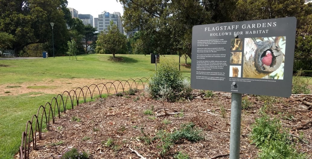 Signage explains the value of retaining this dead tree for habitat in central Melbourne. Photo: Jo Russell-Clarke
