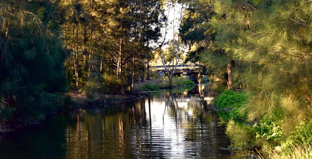 Forest, river and bridge in Melbourne, Australia.