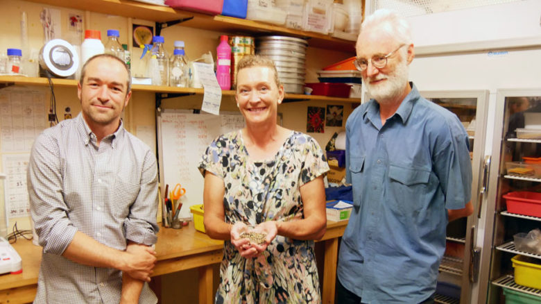 Dr Meg Hirst, who runs the Raising Rarity project, with Neville Walsh and DrAndre Messina at the Seedbank.