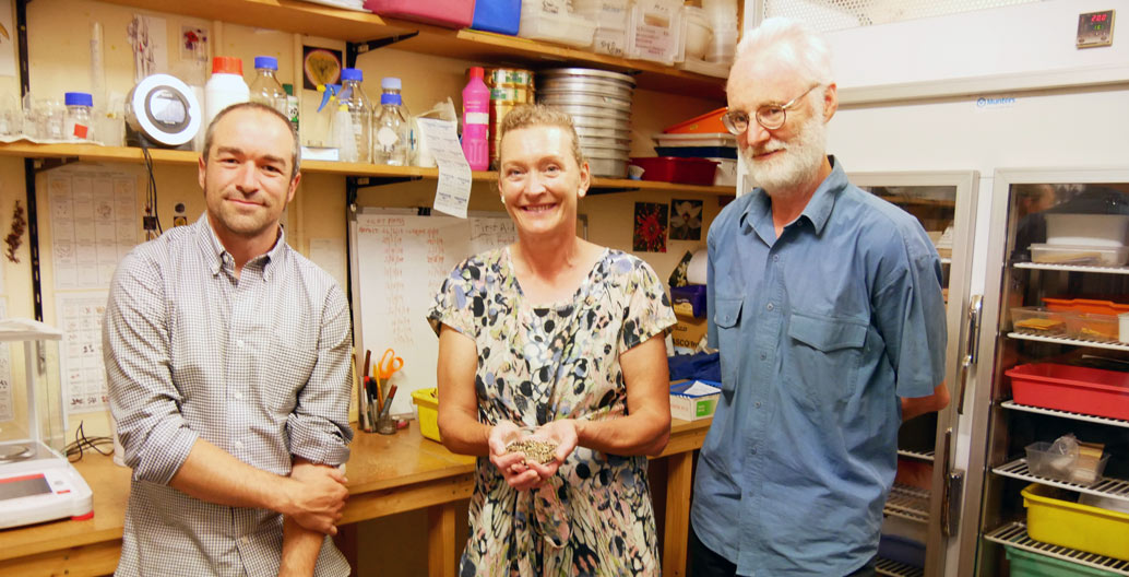 Dr Meg Hirst, who runs the Raising Rarity project, with Neville Walsh and DrAndre Messina at the Seedbank.