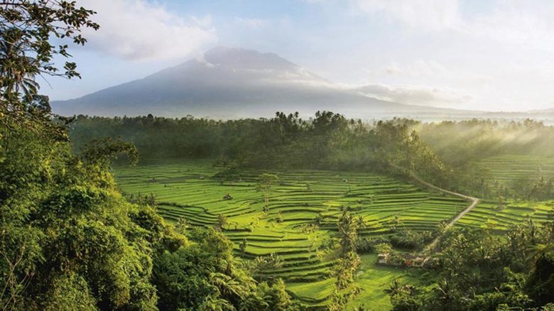 A view over the sacred Mahagiri rice terraces in Bali, a small portion of the one- thousand-year-old agrarian system known as the subak. Photo: © David Lazar