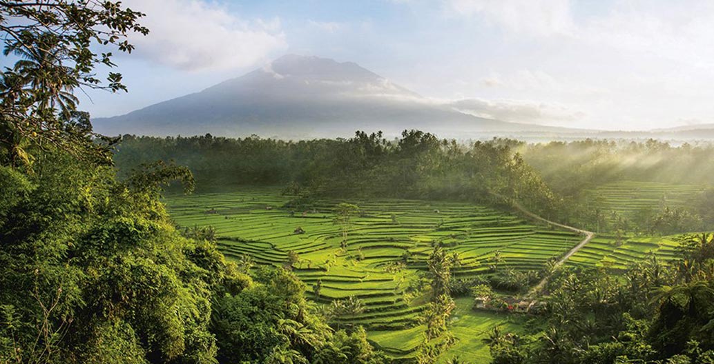 A view over the sacred Mahagiri rice terraces in Bali, a small portion of the one- thousand-year-old agrarian system known as the subak. Photo: © David Lazar