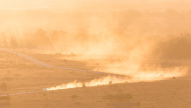 Australia's extreme weather and climate change responses were omnipresent at the World Urban Forum. Image: Brian McMahon.