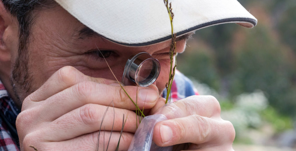 Botanic gardens hold expert knowledge of living plant resources needed to address the challenges of climate change.