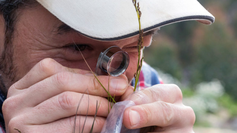 Botanic gardens hold expert knowledge of living plant resources needed to address the challenges of climate change.