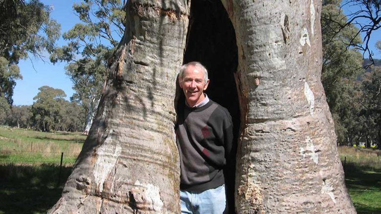 Dr Greg Moore has volunteered and worked with aboriculture organisations for close to 40 years. Image: supplied