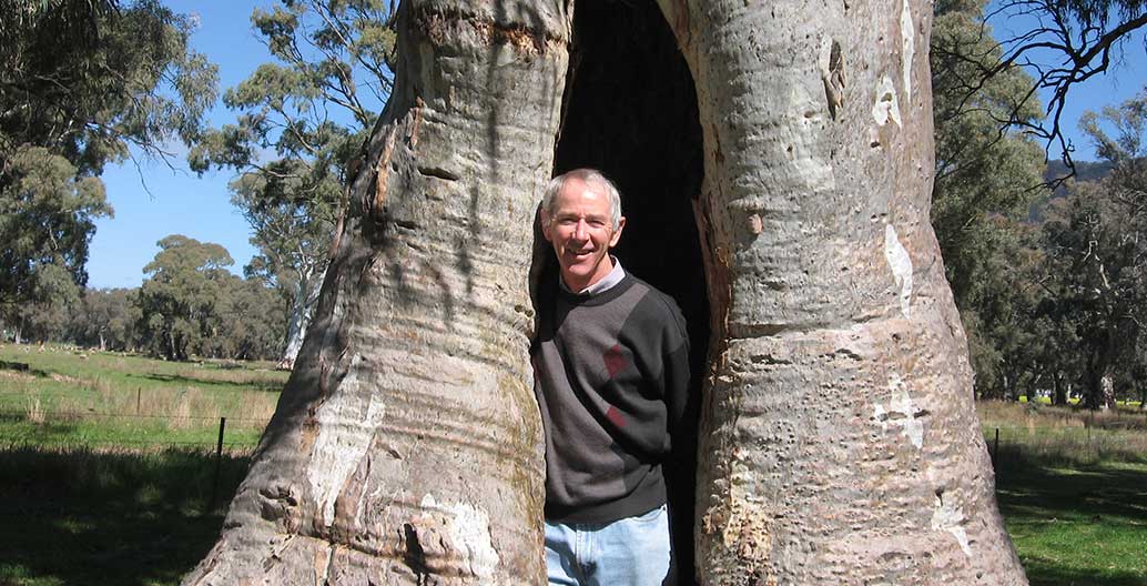 Dr Greg Moore has volunteered and worked with aboriculture organisations for close to 40 years. Image: supplied