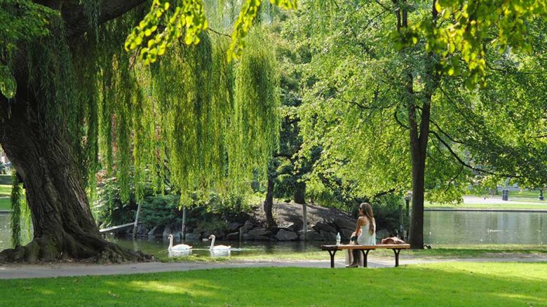 The benefits of parks and public open space for our mental health and physical health are even more evident during a pandemic. Image: Josephine Baran.